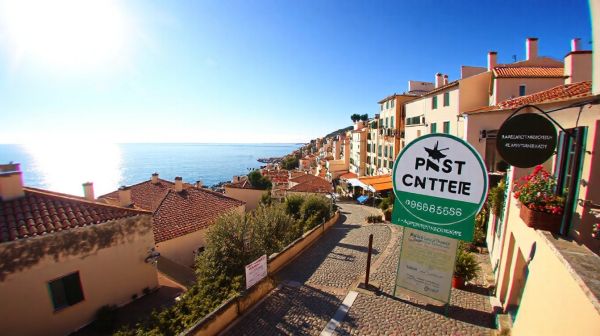 Solutions de dératisation performantes à Bandol pour rongeurs